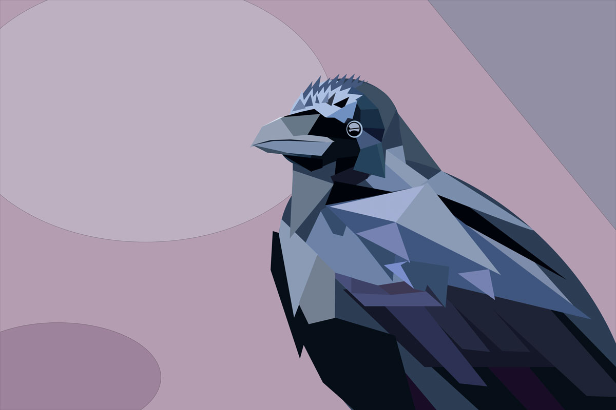 style_crow